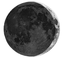 Лунный посевной календарь садовода и огородника: IV четверть