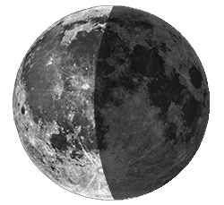 Лунный посевной календарь садовода и огородника: III четверть
