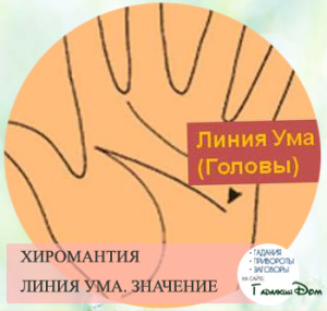 линия ума линия ума