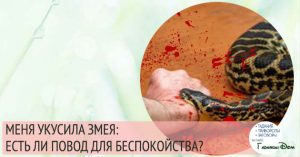 Беременную укусила змея сонник 1086 Беременную укусила змея сонник 757