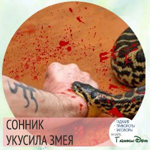 Беременную укусила змея сонник 811 Беременную укусила змея сонник 844