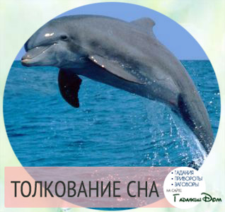 Дельфины во сне к чему снится беременной 43