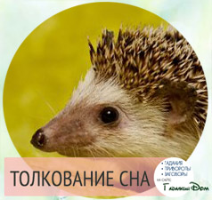 Если приснился еж Если приснился еж