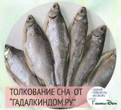 Сонник К Чему Приснилась Рыба Сонник к чему приснилась рыба