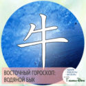 восточный гороскоп год Водяного Быка