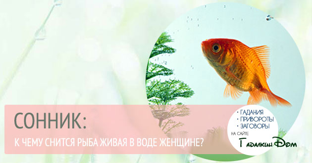 Блюда приготовленные на гриль сковороде