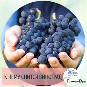Что значит когда снится виноград что значит когда снится виноград
