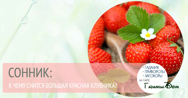 К чему снится клубника большая красная К чему снится клубника большая красная