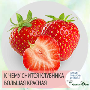 К чему снится клубника большая красная К чему снится клубника большая красная