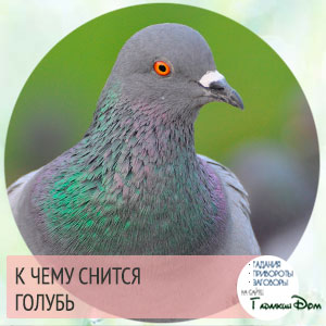 Свиданье и разлука Свиданье и разлука