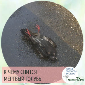 как клюет рыба под водой как клюет рыба под водой