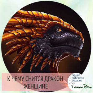 Сонник: к чему снятся драконы во сне? Сонник: к чему снятся драконы во сне?