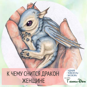 Сонник: к чему снятся драконы во сне? Сонник: к чему снятся драконы во сне?
