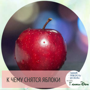 Сонник к чему снятся яблоки во сне: собрать, рвать или есть их? Сонник к чему снятся яблоки во сне: собрать, рвать или есть их?