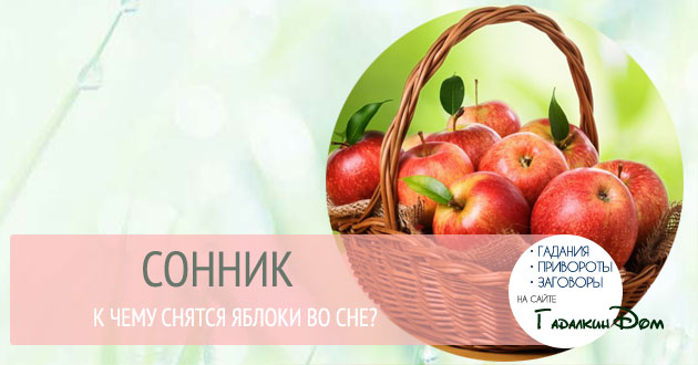 Сонник к чему снятся яблоки во сне: собрать, рвать или есть их? Сонник к чему снятся яблоки во сне: собрать, рвать или есть их?