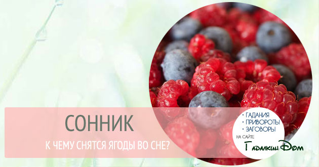 Толкование снов к чему снятся ягоды версии эзотериков Толкование снов к чему снятся ягоды фото