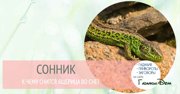 Сонник: К чему снится ящерица во сне? Толкование значения вариантов этого сна про зеленую, большую или маленькую ящерку Сонник: К чему снится ящерица во сне? Толкование значения вариантов этого сна про зеленую, большую или маленькую ящерку