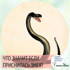 Приснилась змея беременной к мальчику 20