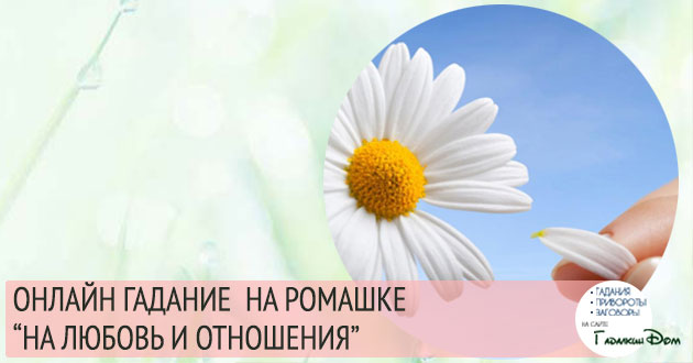 онлайн гадание на ромашке
