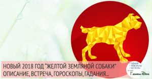 2018 год какого и как встречать 2018 год какого и как встречать