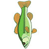 Символ Рыба