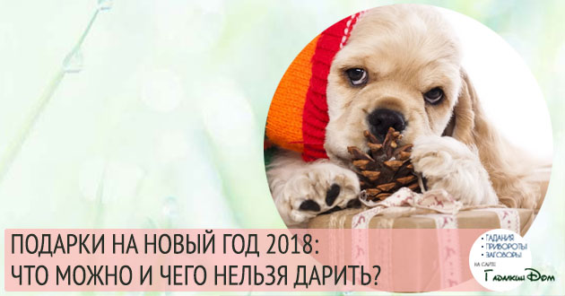 Новый jaguar f-pace 2018: фото, характеристика, цена Новый jaguar f-pace 2018: фото, характеристика, цена