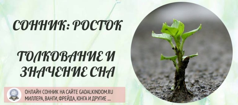Ютуб садовод огородники Ютуб садовод огородники