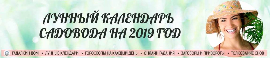 Лунный календарь садовода на 2019 год