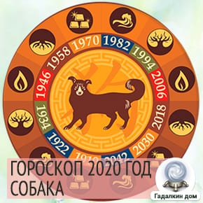 Гороскоп Собаки 2020