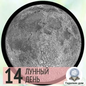 Лунный день сегодня 25 Января 2024