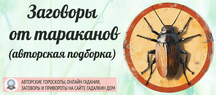 Девять простых и эффективных способов избавиться от вредных насекомых навсегда.