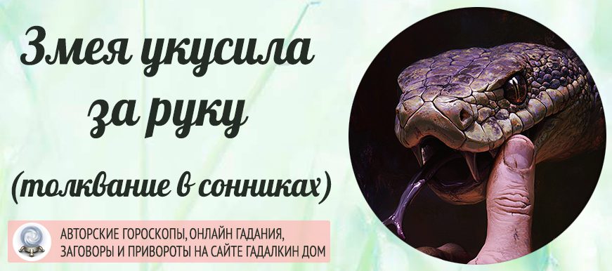 Укусила змея во сне, что это значит?