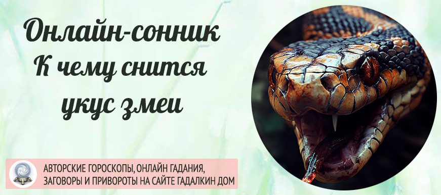 сонник Укусила змея