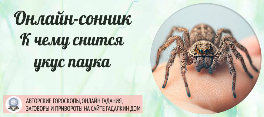 паук укусил во сне