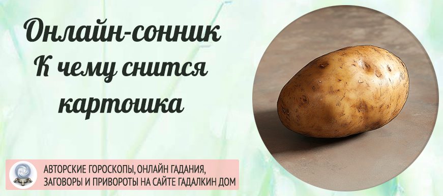 сонник картошка