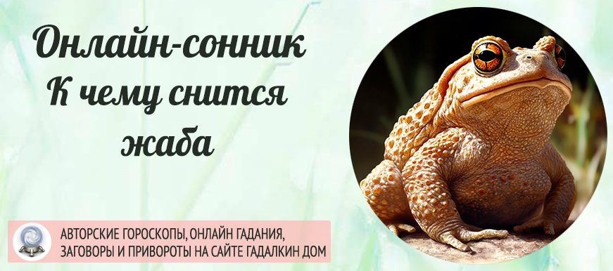 сонник жаба