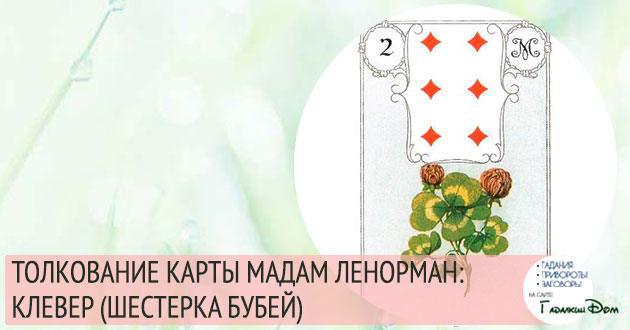 значение карты мадам ленорман клевер шестерка бубен значение карты мадам ленорман клевер шестерка бубен