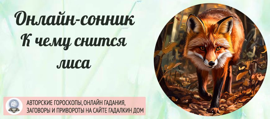сонник лиса