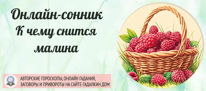 сонник малина