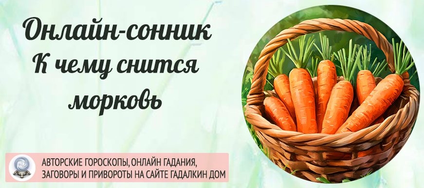 сонник морковь