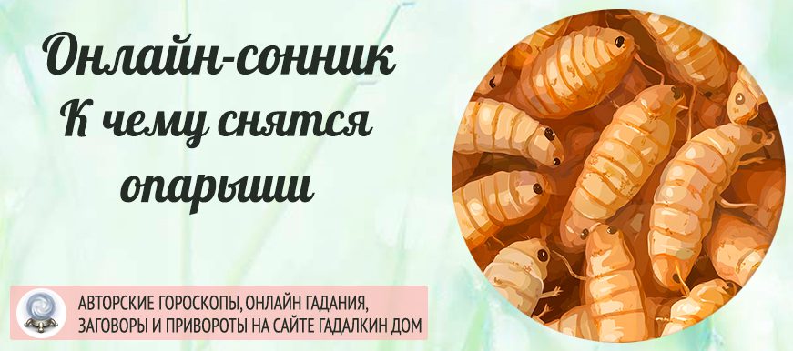 сонник опарыши