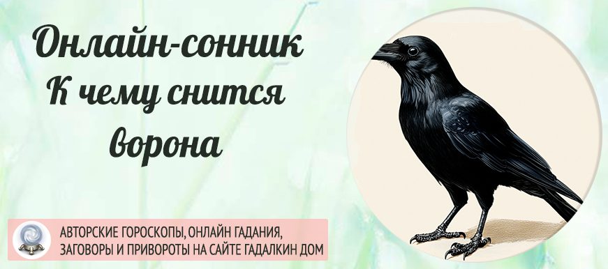 сонник ворона