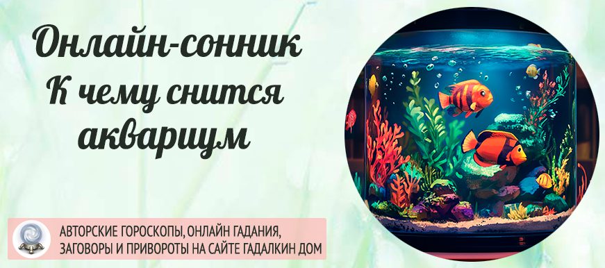 сонник аквариум