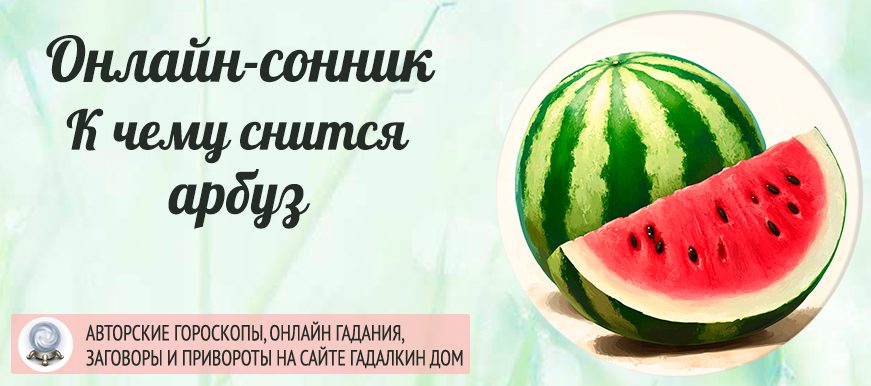 сонник арбуз