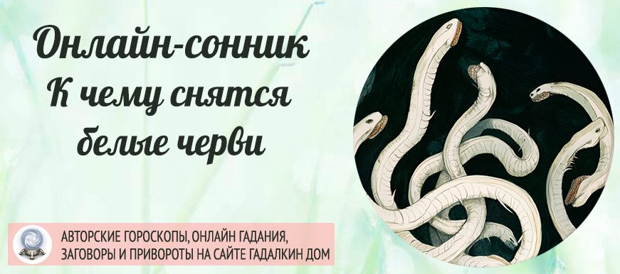 сонник Белые черви