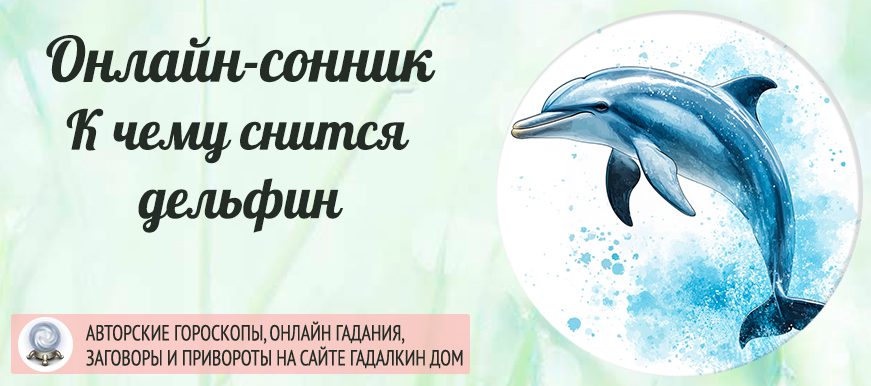 Дельфины во сне