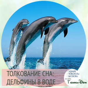 сонник дельфины