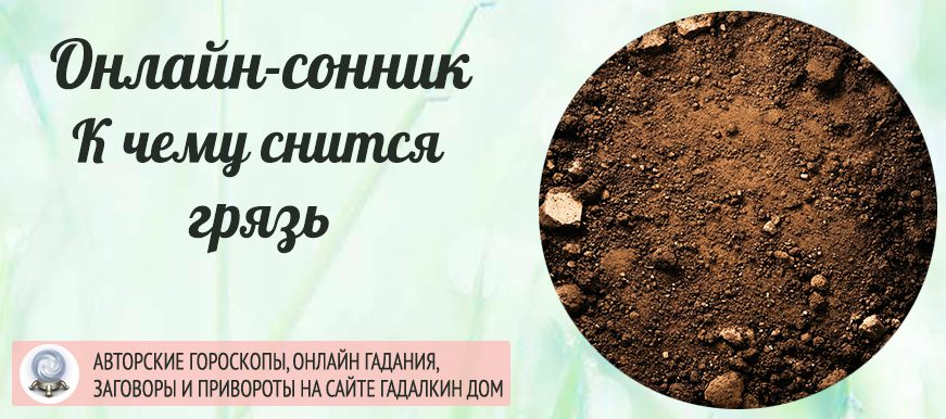 сонник грязь