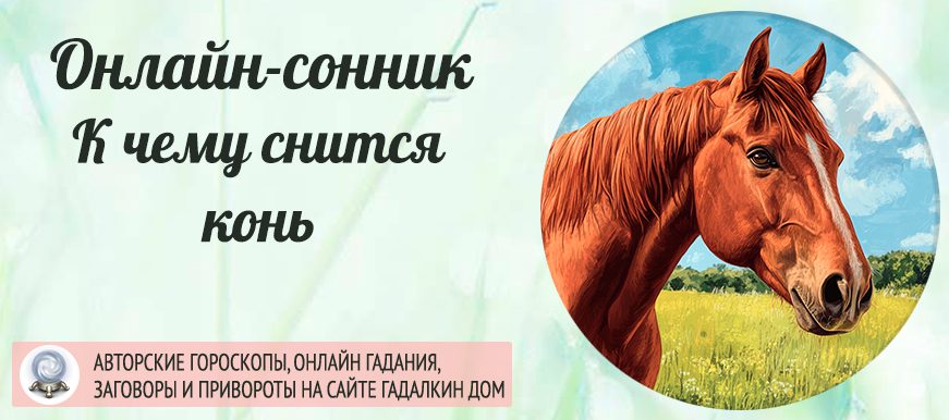 Конь во сне