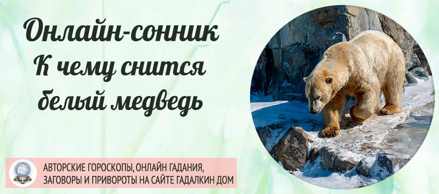 сонник Медведь